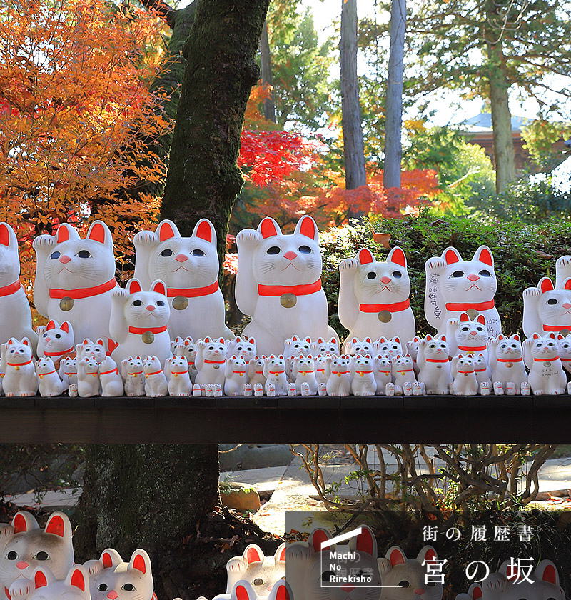 街の履歴書　宮の坂（ログイン前）