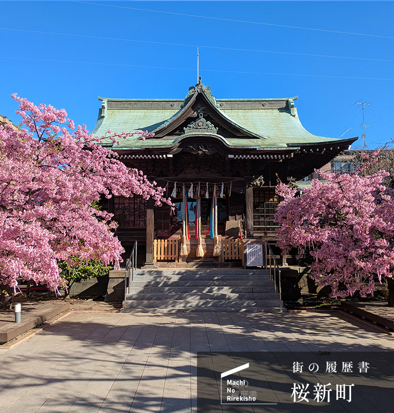 街の履歴書　桜新町（ログイン前）