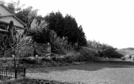 のどかな風景が残る1983（昭和58）年の大場付近