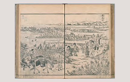 江戸名所図会 広尾原