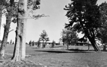 昭和初期はゴルフ場だった玉川野毛町公園