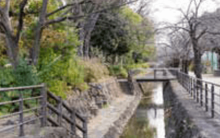 春は桜の名所となる人工用水・二ヶ領用水