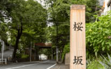 旧中原街道の春の名所 桜坂の現在