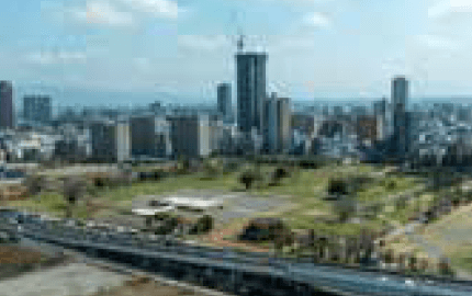 大阪歴史博物館から一望できる現在の難波宮跡（難波宮跡公園）