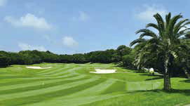 mainv_tokyu_resort_golf2020-1