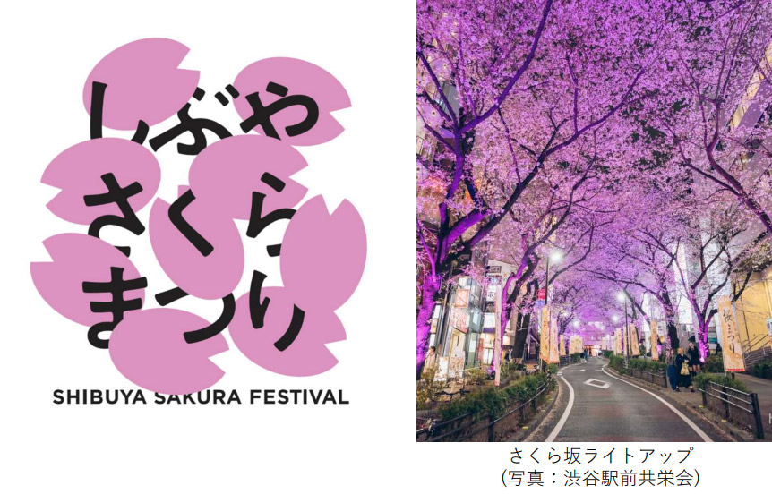20260401ginfo_sakura