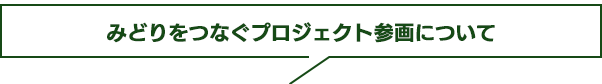 midori_info